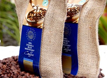 Pemantauan-Suhu-Gudang-Kopi-Jamaika-Dengan-Data-Logger-Suhu