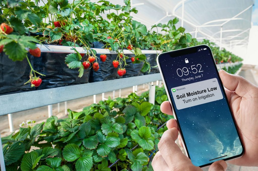 Onset Tech: Sensor Pilihan Terbaik Untuk Pertanian