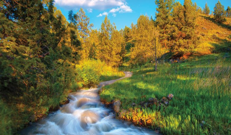 Mengatasi Penurunan Habitat Sungai Dengan Data Logger Suhu