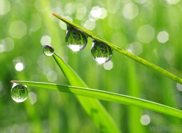 Alat Pengukur Kelembaban Udara Digital