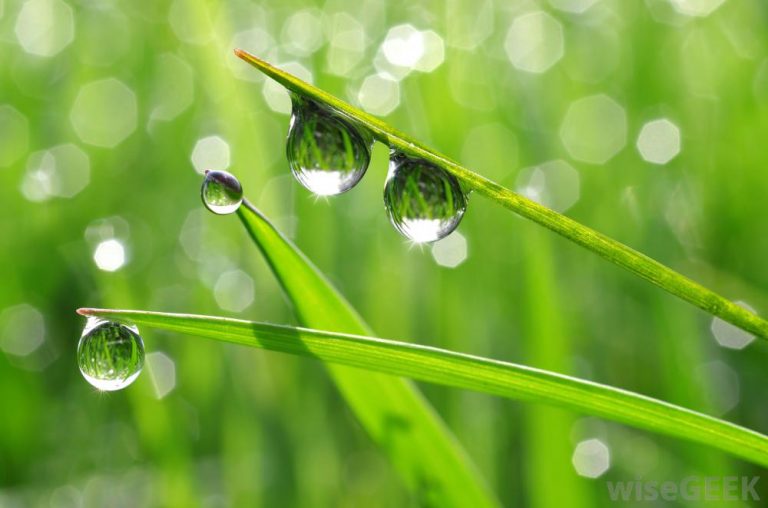 Alat Pengukur Kelembaban Udara Digital