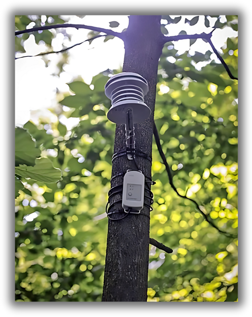 Studi Kasus Penerapan Pemantauan Iklim di Perkotaan Menggunakan HOBO MX2304