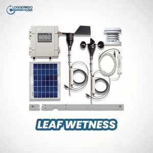 LEAF WETNESS