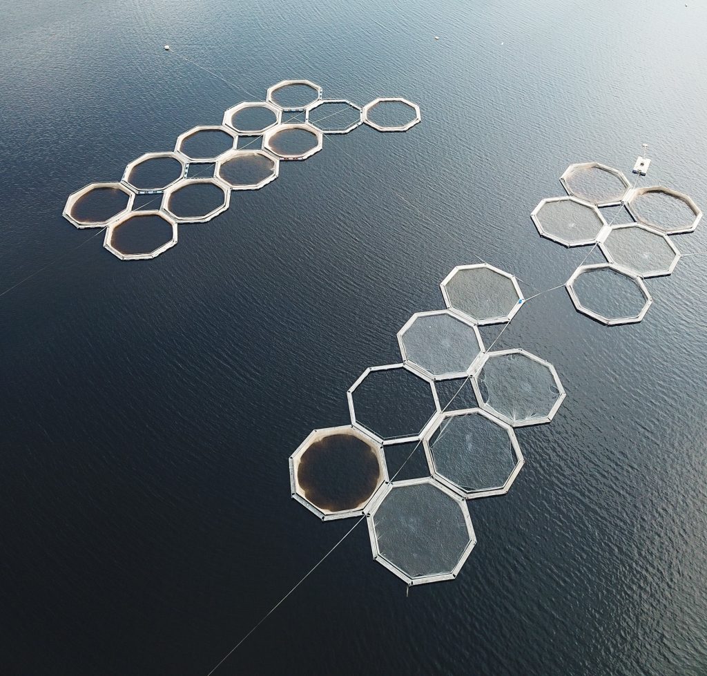 akuakultur, dissolved oxygen