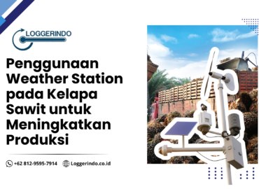 Penggunaan Weather Station pada Kelapa Sawit untuk Meningkatkan Produksi