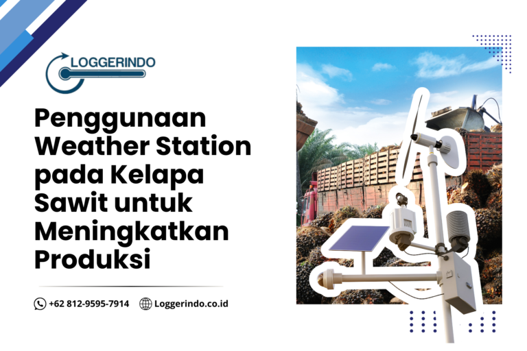 Penggunaan Weather Station pada Kelapa Sawit untuk Meningkatkan Produksi