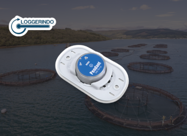 Alat Ukur Suhu Air HOBO Pendant MX Water Temperature Data Logger Terbaik untuk Monitoring