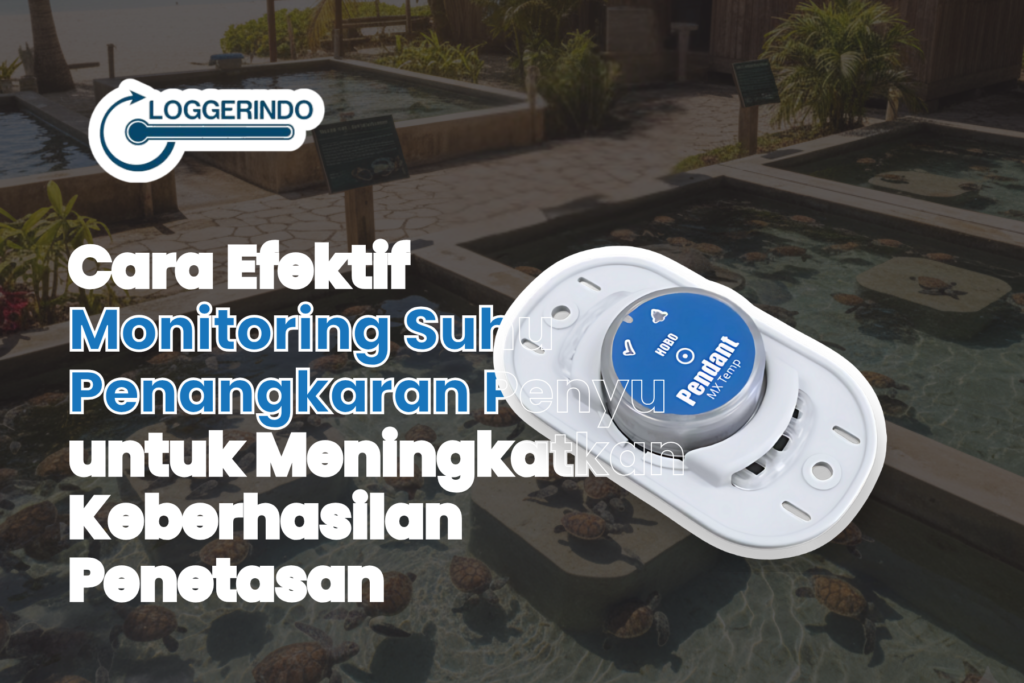 Cara Efektif Monitoring Suhu Penangkaran Penyu untuk Meningkatkan Keberhasilan Penetasan