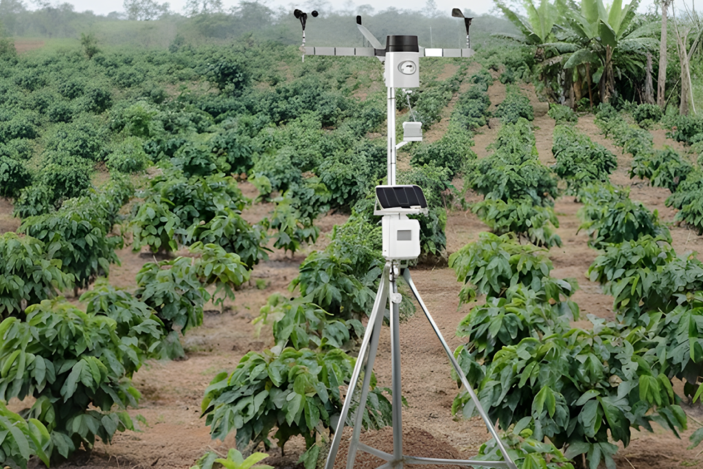 Contoh Penerapannya pada Agrikultur di Indonesia