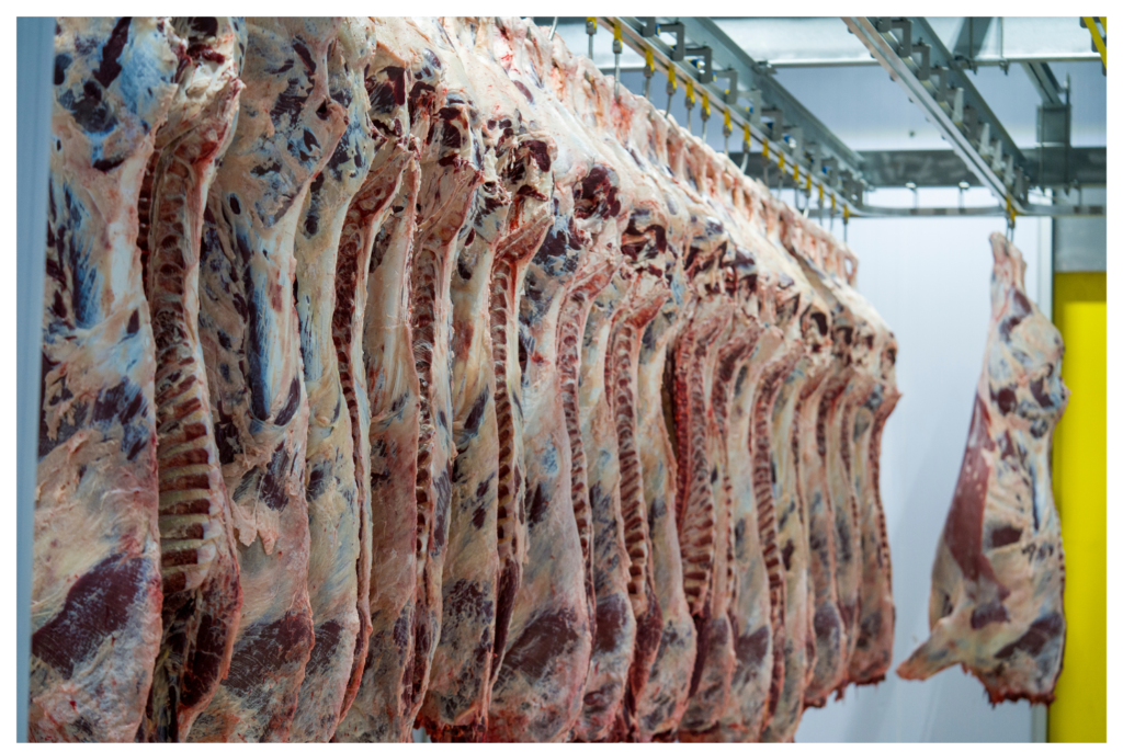 Namun, Apa sih Food Temperature Logger itu?