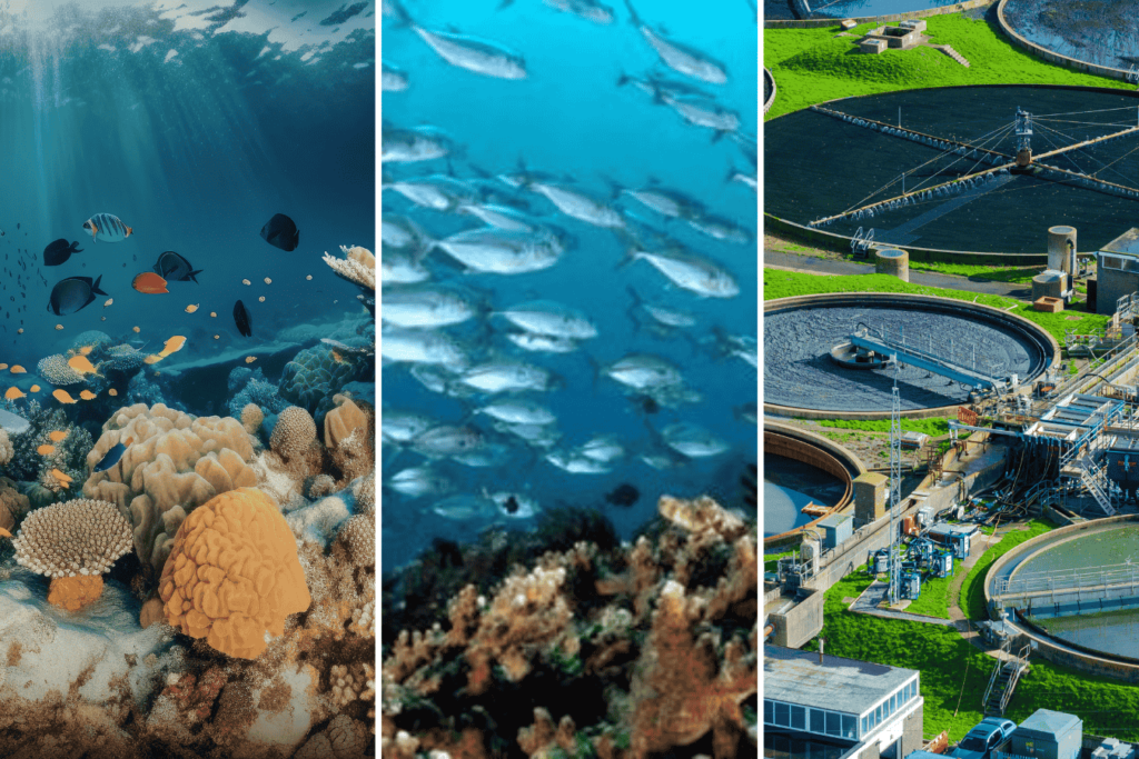 pengaplikasian di berbagai sektor