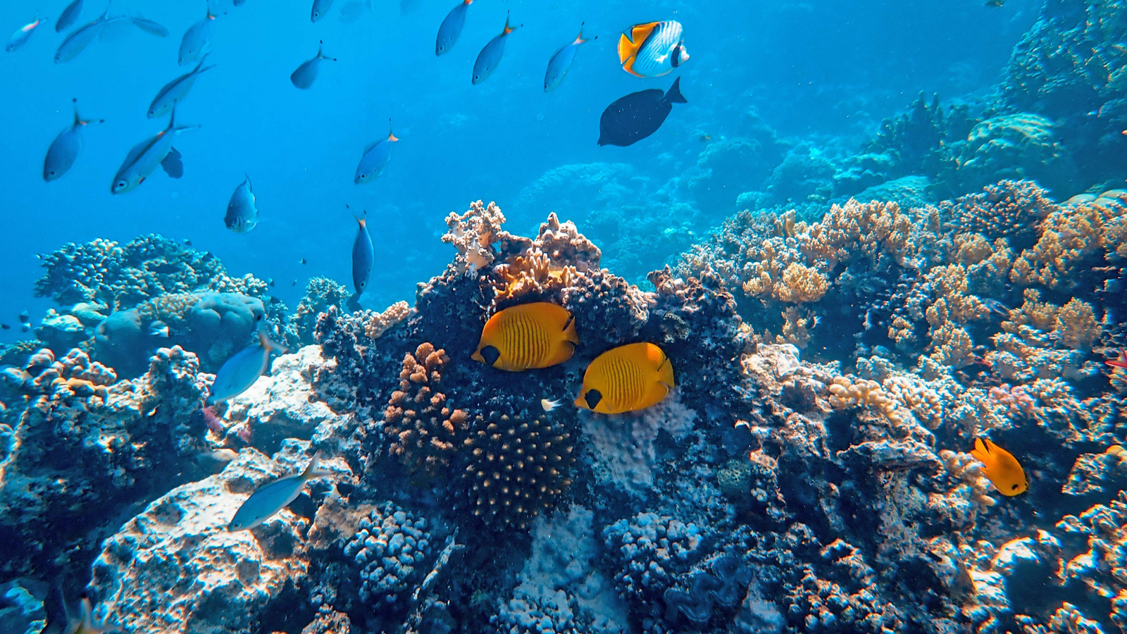 Oceanography