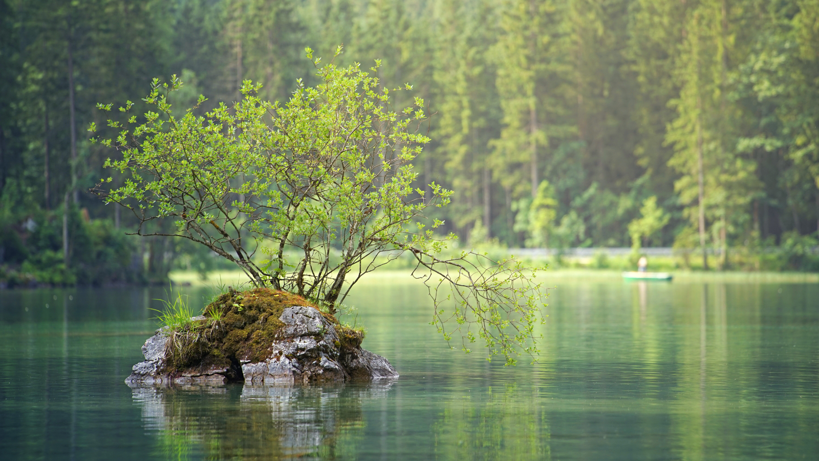 Environment