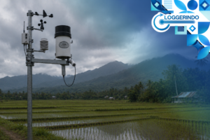 Sensor Rain Gauge
